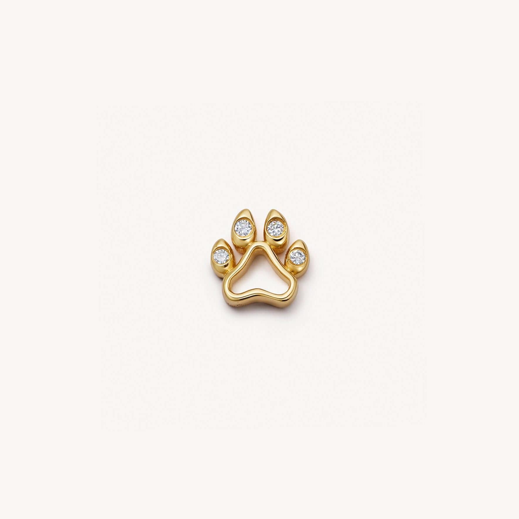"Dog paw"