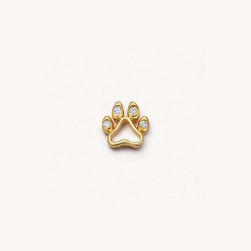 "Dog paw"