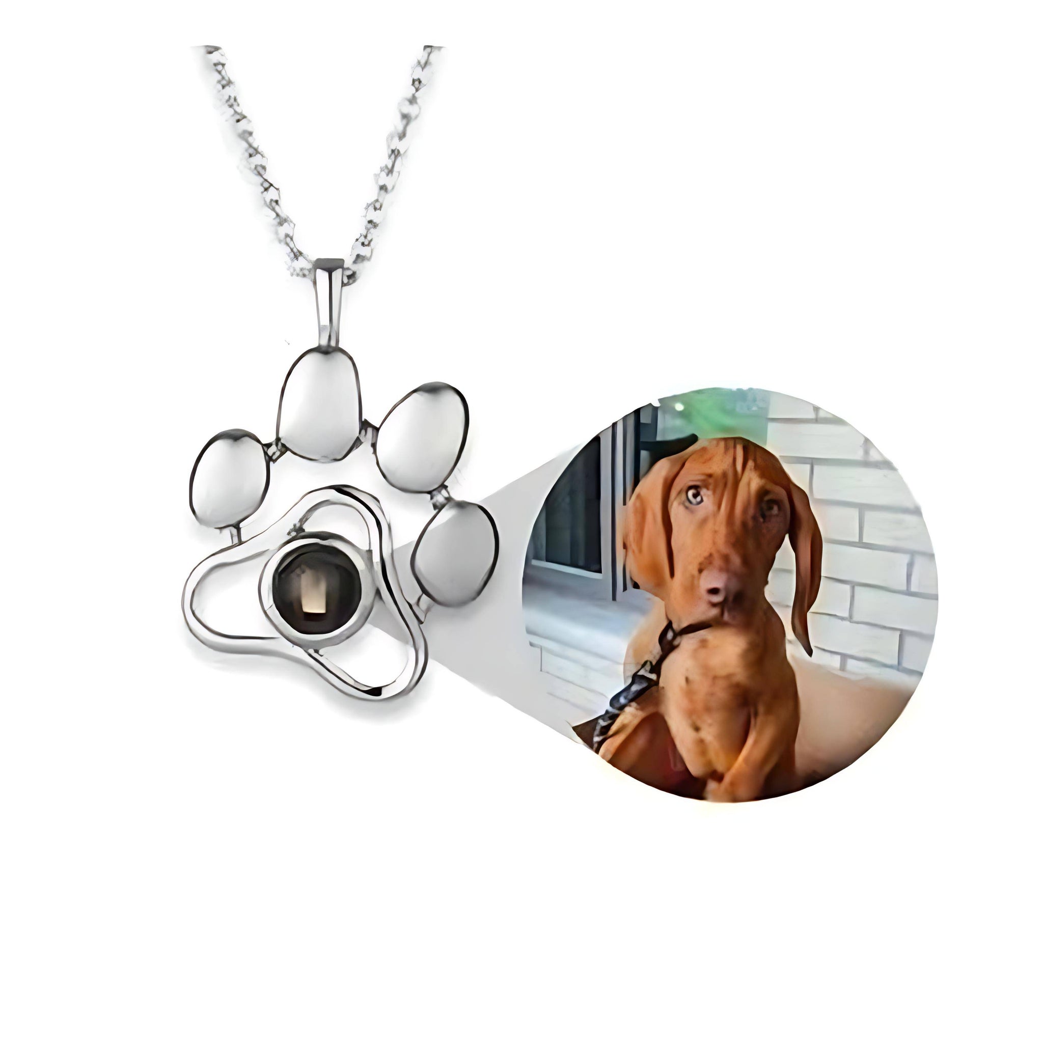 Personalized Dog Paw Photo Necklace