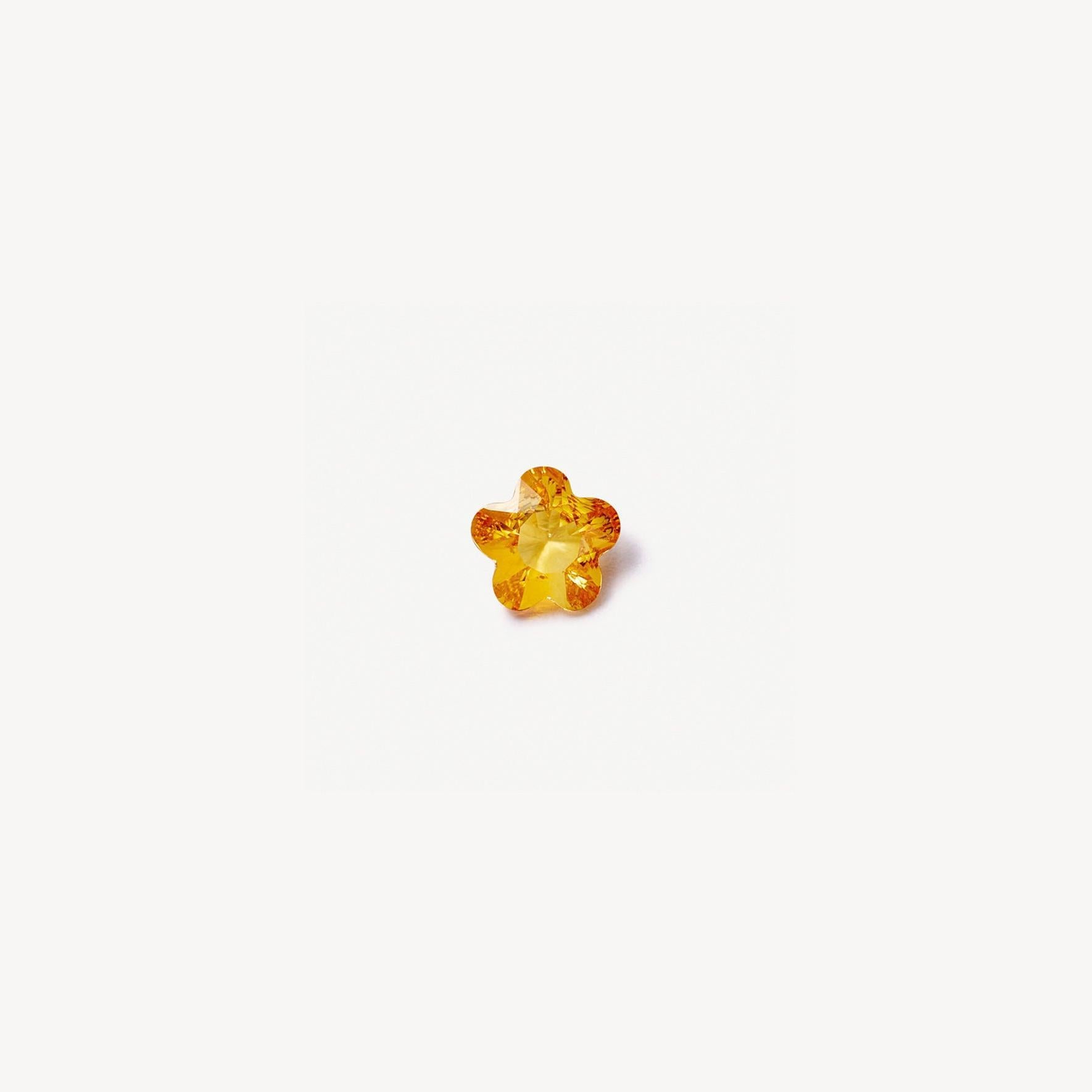 "yellow flower"